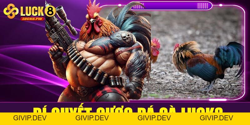 Cá cược đá gà Luck8 – Kênh giải trí đỉnh cao cho đam mê tốc độ và máu chiến - givip