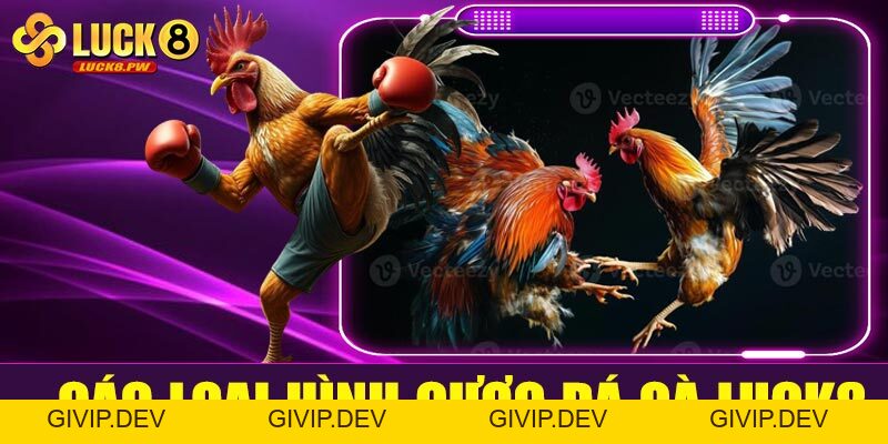Cá cược đá gà Luck8 – Kênh giải trí đỉnh cao cho đam mê tốc độ và máu chiến - givip
