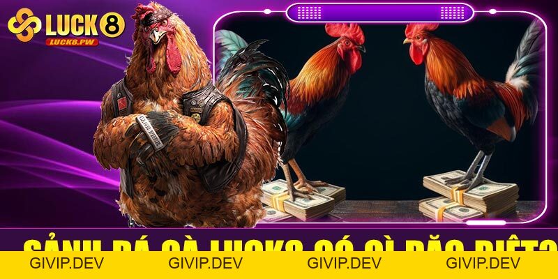 Cá cược đá gà Luck8 – Kênh giải trí đỉnh cao cho đam mê tốc độ và máu chiến - givip
