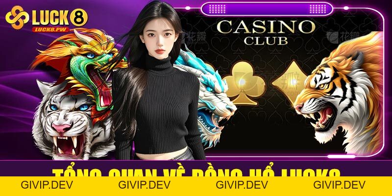 Rồng Hổ Luck8 – Trải nghiệm cá cược tốc độ, thắng nhanh trong tích tắc - givip