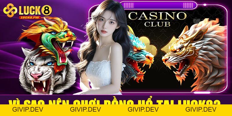 Rồng Hổ Luck8 – Trải nghiệm cá cược tốc độ, thắng nhanh trong tích tắc - givip