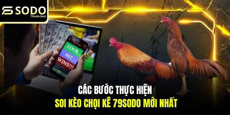 Mẹo Soi Kèo Đá Gà Thomo Chuẩn Xác 2026 - givip
