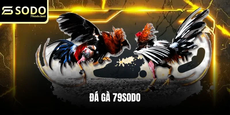 Đá Gà 79SODO - Trải Nghiệm Cá Cược Kịch Tính, Cơ Hội Thắng Lớn - givip
