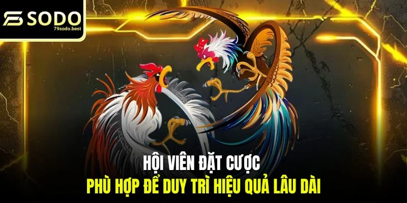 Kinh Nghiệm Chơi Đá Gà Thomo Dễ Thắng Cùng 79SODO - givip