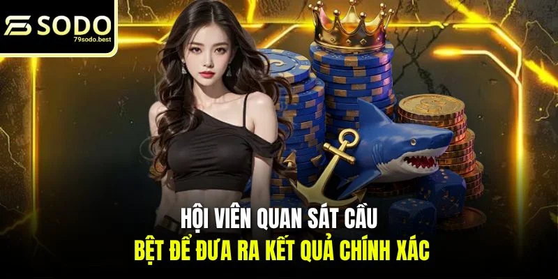 Mẹo Bắt Cầu Baccarat Hiệu Quả Tại 79SODO Rinh Thưởng Lớn - givip