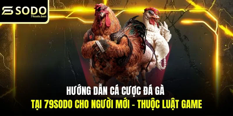 Hướng Dẫn Cá Cược Đá Gà Cho Người Mới Dễ Hiểu - givip