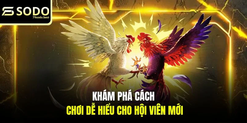 Đá Gà 79SODO - Trải Nghiệm Cá Cược Kịch Tính, Cơ Hội Thắng Lớn - givip