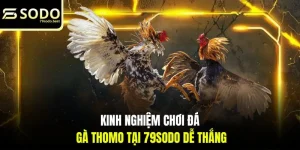 79SODO 92lottery Nhà Cái Xổ Sổ Uy Tín Hàng Đầu Việt Nam Năm 2026 - givip