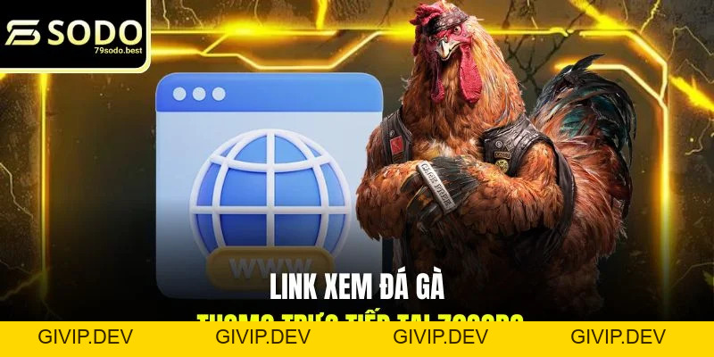Link Xem Đá Gà Thomo Trực Tiếp Tại 79SODO Không Chặn, Uy Tín - givip