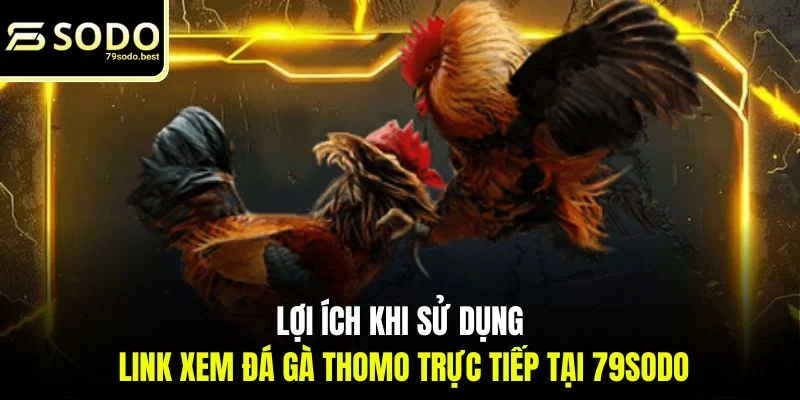 Link Xem Đá Gà Thomo Trực Tiếp Tại 79SODO Không Chặn, Uy Tín - givip