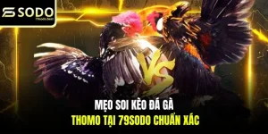 79SODO 92lottery Nhà Cái Xổ Sổ Uy Tín Hàng Đầu Việt Nam Năm 2026 - givip