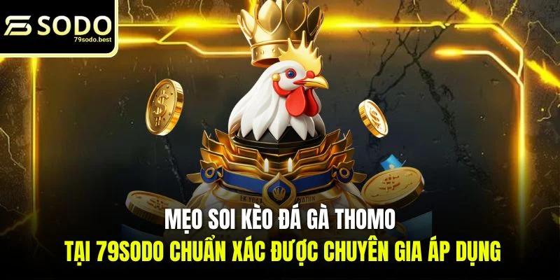 Mẹo Soi Kèo Đá Gà Thomo Chuẩn Xác 2026 - givip
