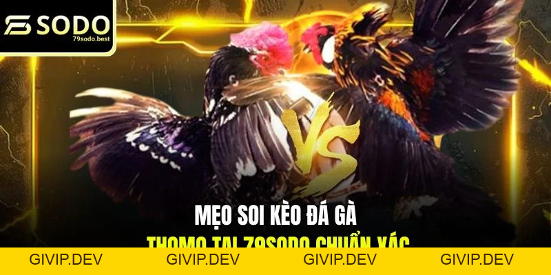 Mẹo Soi Kèo Đá Gà Thomo Chuẩn Xác 2026 - givip