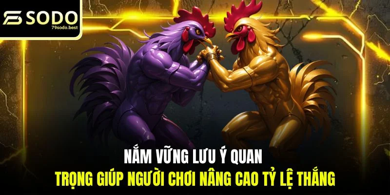 Kinh Nghiệm Chơi Đá Gà Thomo Dễ Thắng Cùng 79SODO - givip