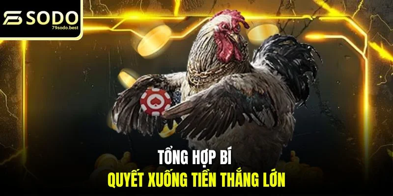 Link Xem Đá Gà Thomo Trực Tiếp Tại 79SODO Không Chặn, Uy Tín - givip