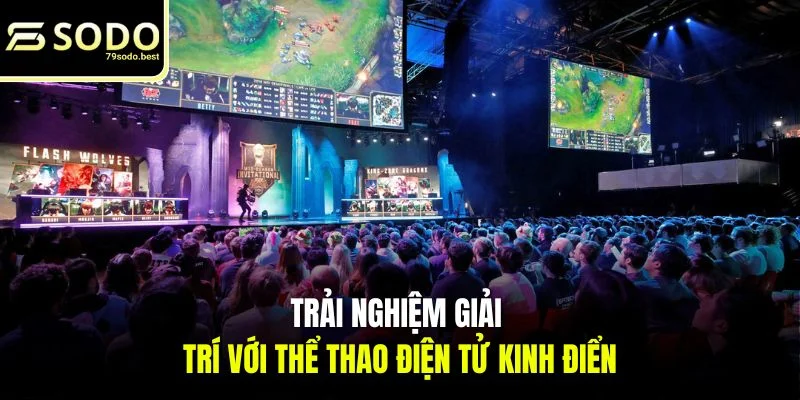 Cá Cược Thể Thao - Sảnh Sports Hàng Đầu 2026 - givip